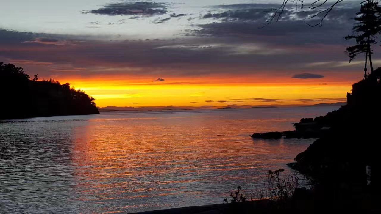 Gulfview Drive Ocean View B&B Nanaimo Exteriör bild